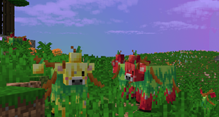 Apple cows!