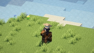 Cowboy_hat.jpg