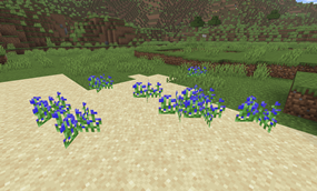 Flax