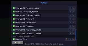 Custom Tracks