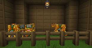 Golden Apple Cow