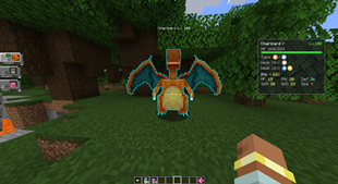 image_13.png