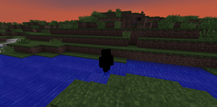 A... Shadow?
