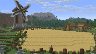 Wheat field
