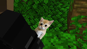2026-06-23_10.20.46.png