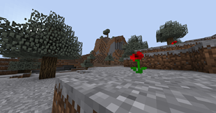 2026-06-22_15.17.10.png