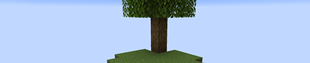 banner.png