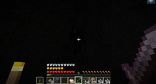 86403.jpg