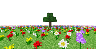 A Beutiful garden, i guess...