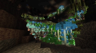 The Cave