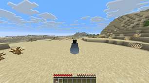 ingamephoto.png