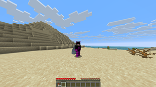 ingamephoto2.png