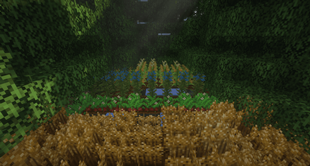 The garden made with the Farmer Delight mod