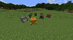 All Block Golem Types