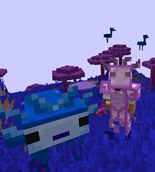 gÃ¶rsel_2026-06-24_172119727.png