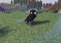 RavenPhoto.png