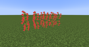 2026-06-24_18.15.10.png