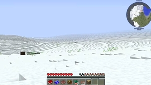1000129698.jpg