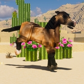 100 Days Desert Pack-1.jpg