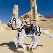 100 Days Desert Pack-2.jpg