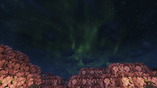 the night
