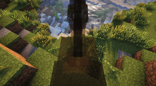 translucent horses when looking down!