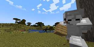 That is now chasing me!