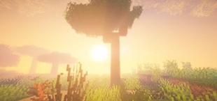 1000341666.jpg