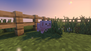 Baby Pig.png