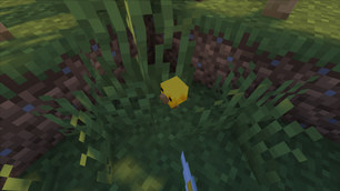 Baby Chick.png