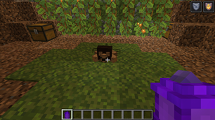 lionspwaner.png