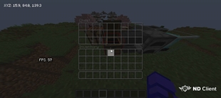 Chest
