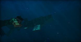 Whale Shark.png