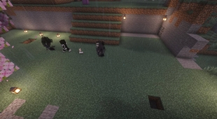 death2.jpg