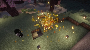 phonix2.jpg