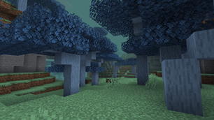 Enchanted Forest