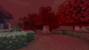 Hexed Forest