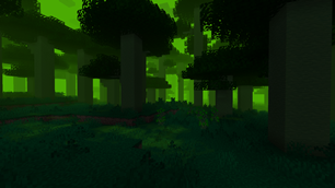 Overgrown Forest
