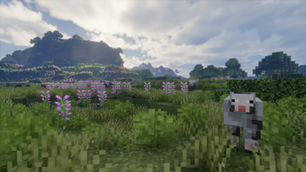 Untitled design (42).png