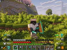 VERSION 1.1.0, SURVIVAL.