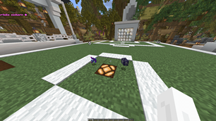 Items drop.png