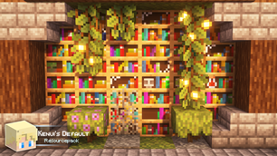 Variated Bookshelves!