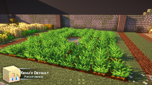 Carrots!