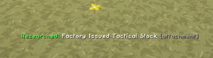 Notification