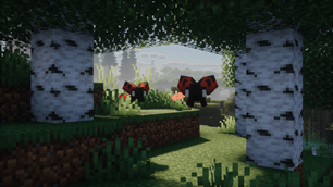 Ladybugs