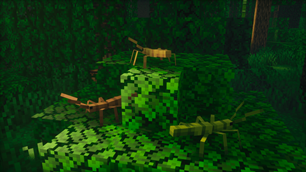 Stick insects