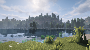 Untitled design (59).png