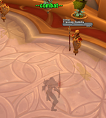 Leaving Combat