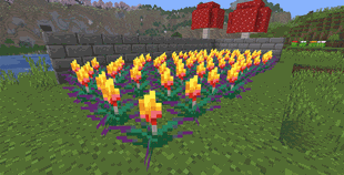 variants_of_crops_v1.3.1.gif