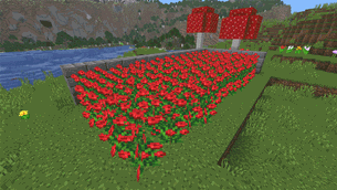variants_of_crops_v1.4.0.gif